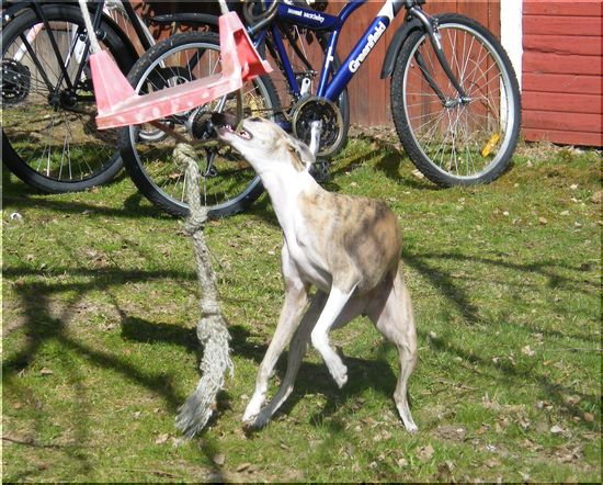 Bild på Bianca
